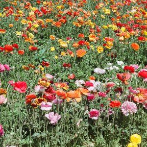 Meet your Posher, Marija